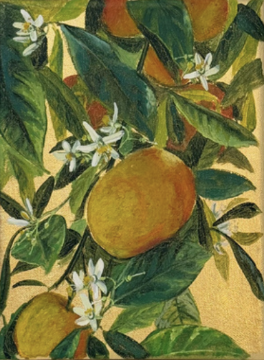 ΝΕΚΤΑΡΙΟΣ ΑΠΟΣΠΟΡΗΣ - (1979 - ) - ΝΕΡΑΝΤΖΙΑ